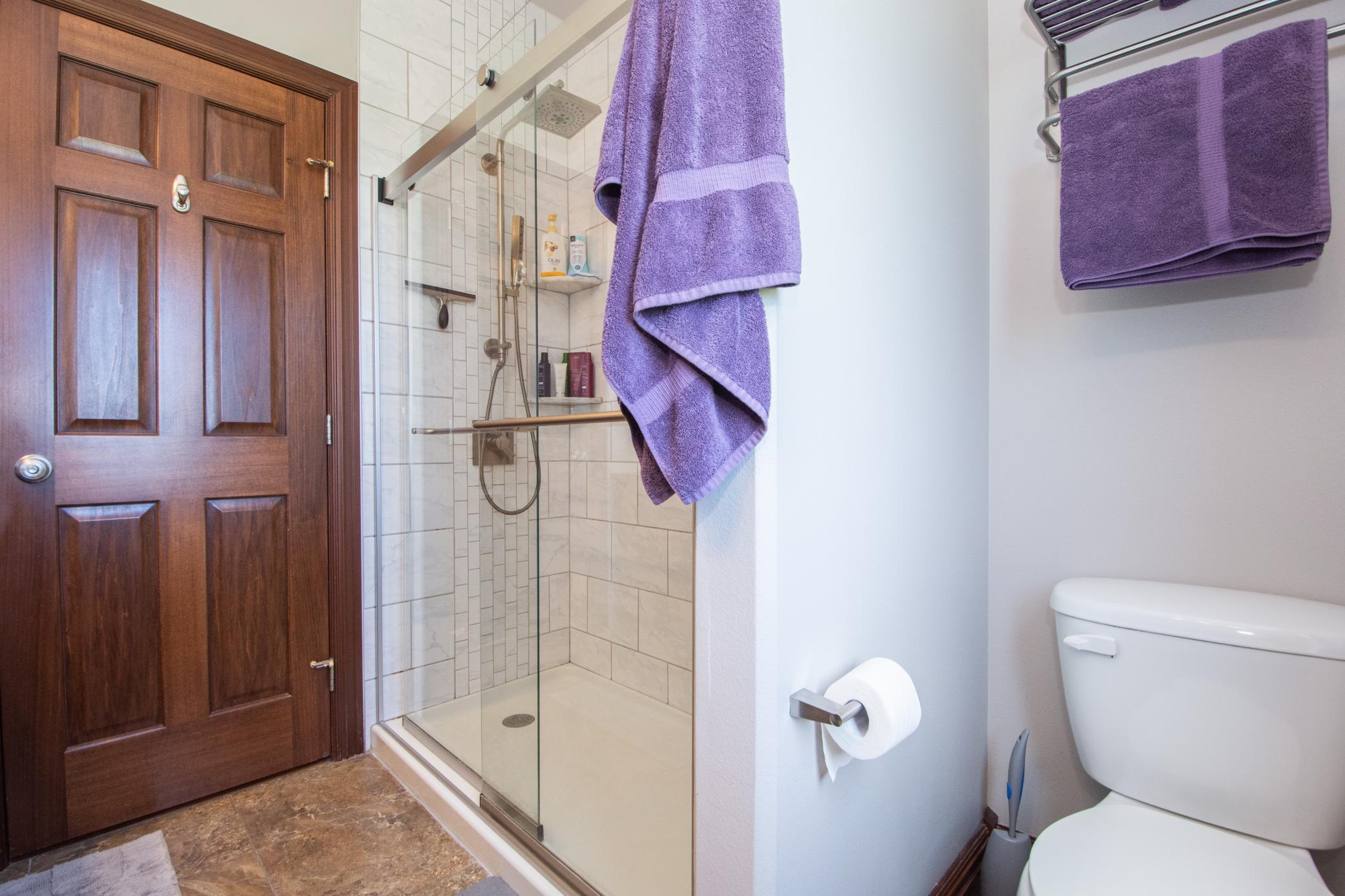 Main Bathroom Walk-In Shower