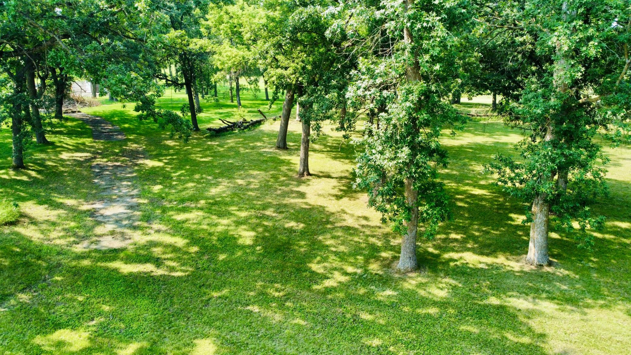 Natural Shade