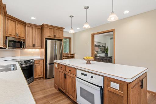 12852 Essex Way, Saint Paul, MN 55124
