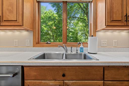 12852 Essex Way, Saint Paul, MN 55124