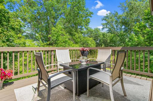 12852 Essex Way, Saint Paul, MN 55124