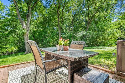 12852 Essex Way, Saint Paul, MN 55124