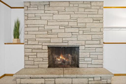 Wood Burning LL Fireplace