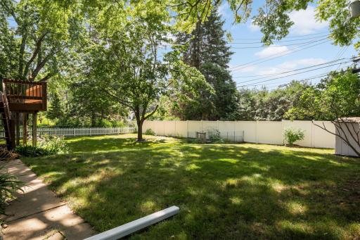 Privacy Fence and Shed