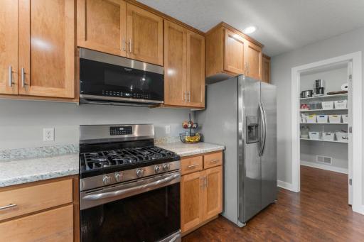 Stainless steel appliances including a gas stove