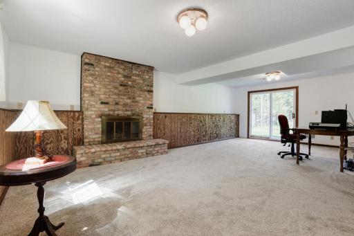 Lower Level Family Room with a gas fireplace. 1/2 bath on this level too. Walkout to the back patio.