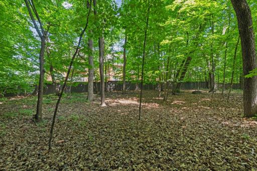 Private wooded Backyard patio.
