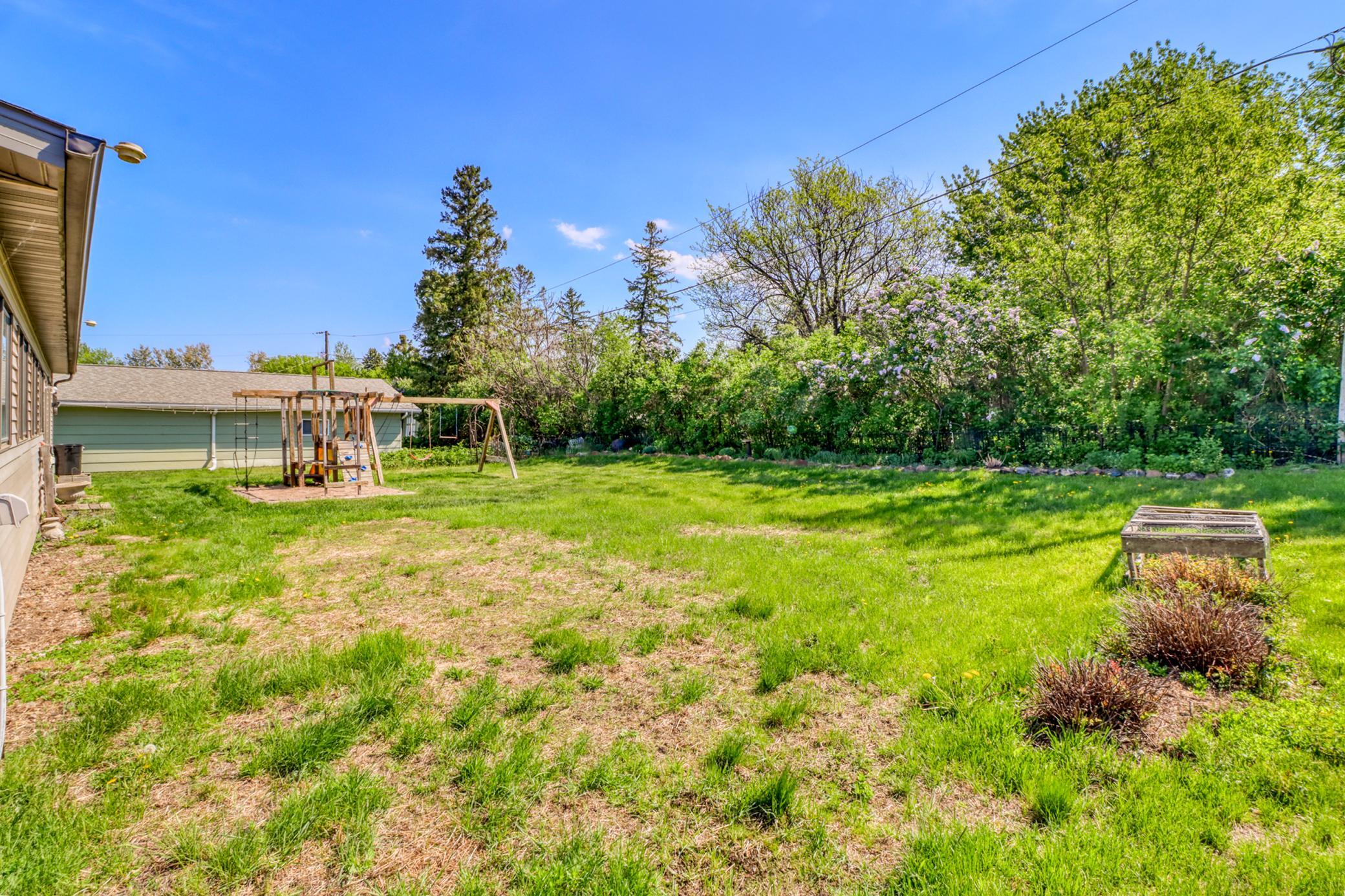 Backyard1_1 (2).JPG