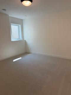 Lower level bedroom.jpg