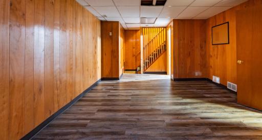 Expand into the lower level family room when the everyone is over.jpg