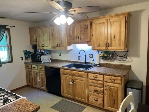 57625 226th Street, Litchfield, MN 55355