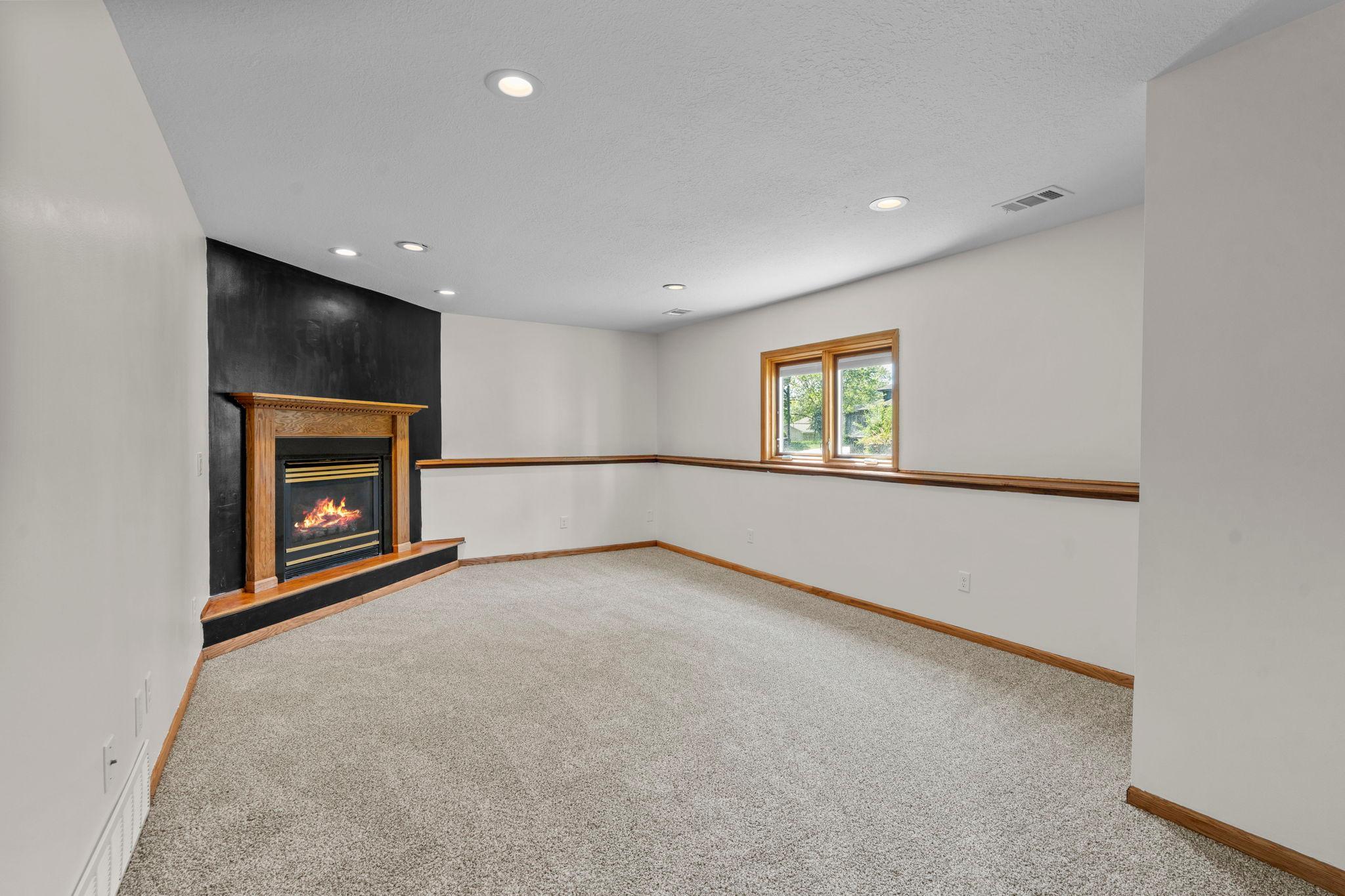 Lower Level Family Room
