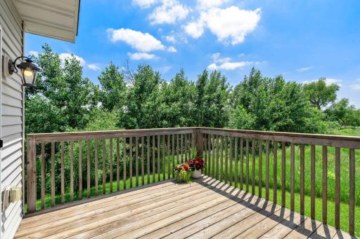2726 11th Avenue, Anoka, MN 55303