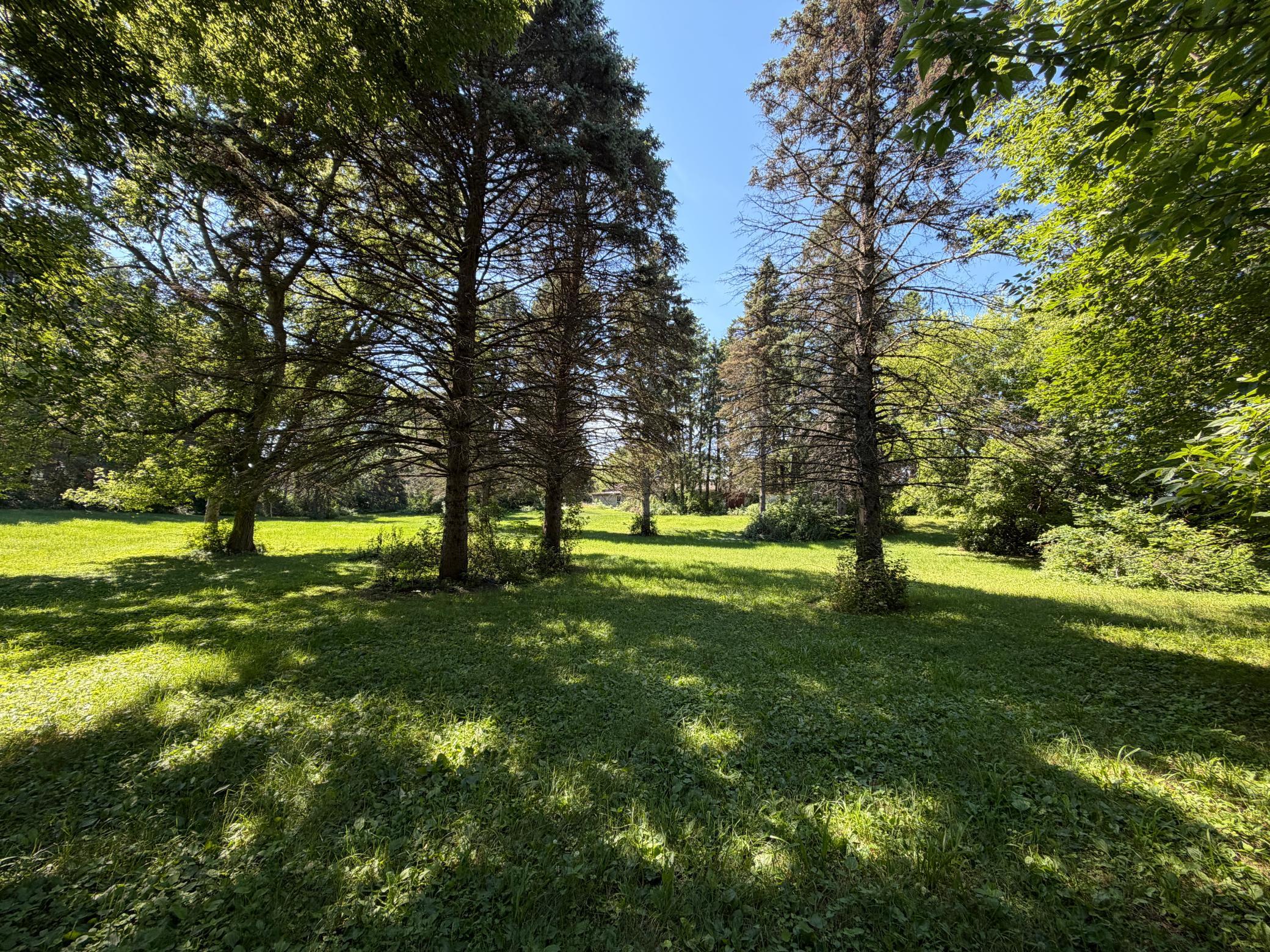 Beautiful Yard w/ Mature Trees