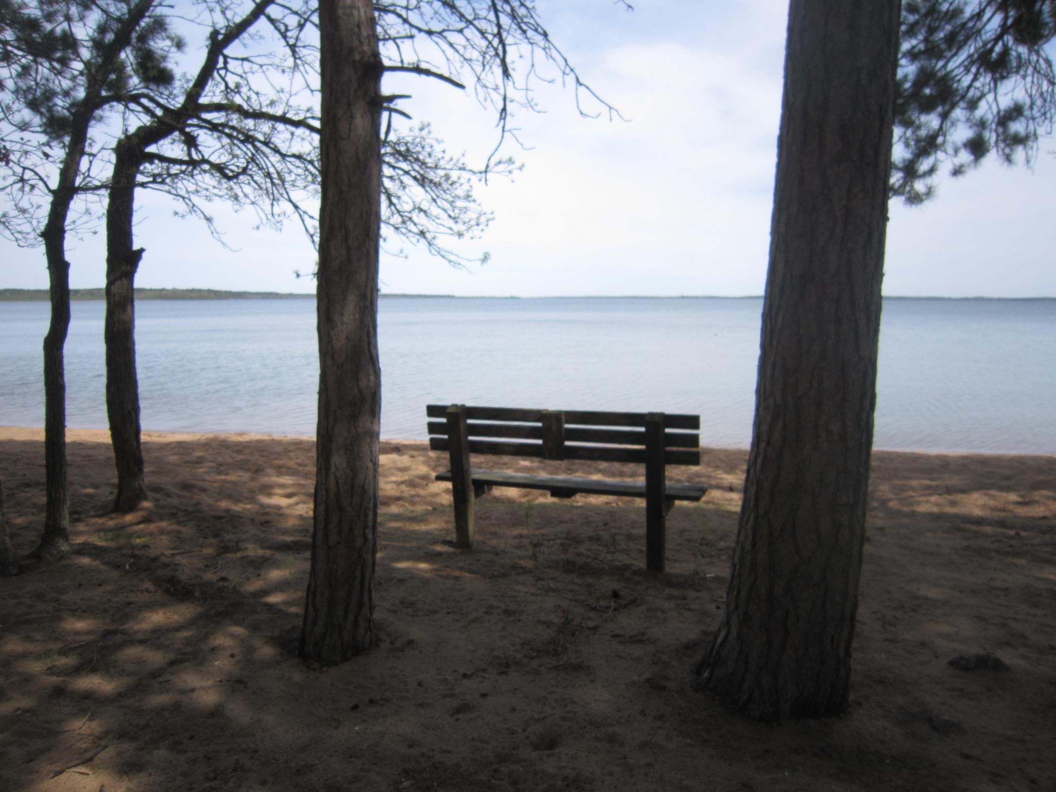 Public picnic & beach area