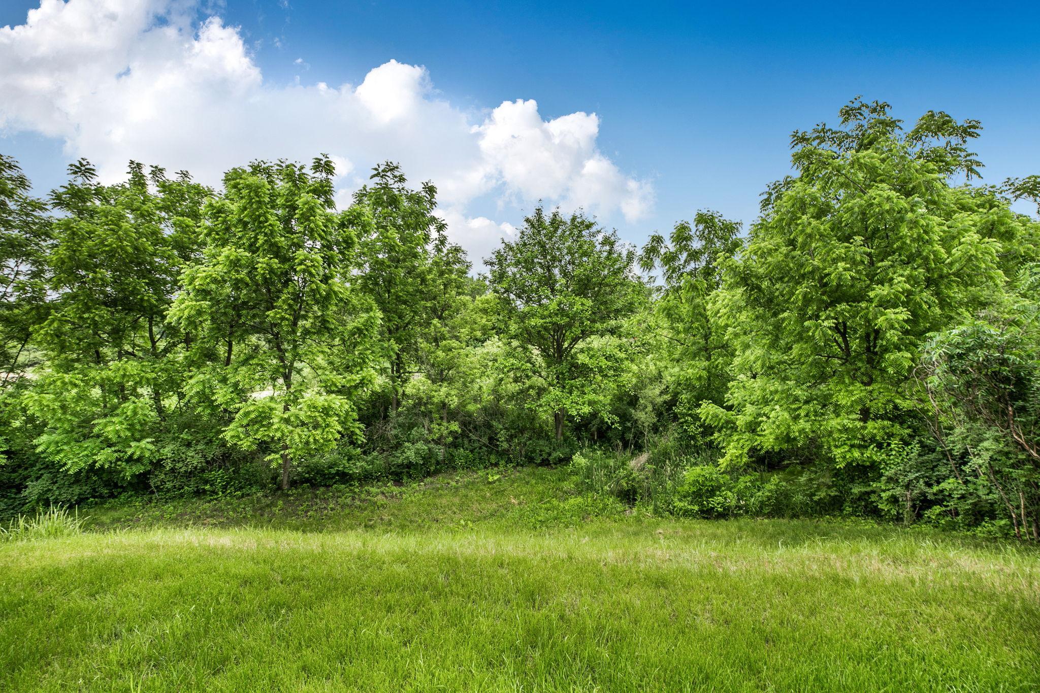No rear neighbors and views of Homeward Hills Park Hockey Rink in the wintertime. Lot size .56 acres