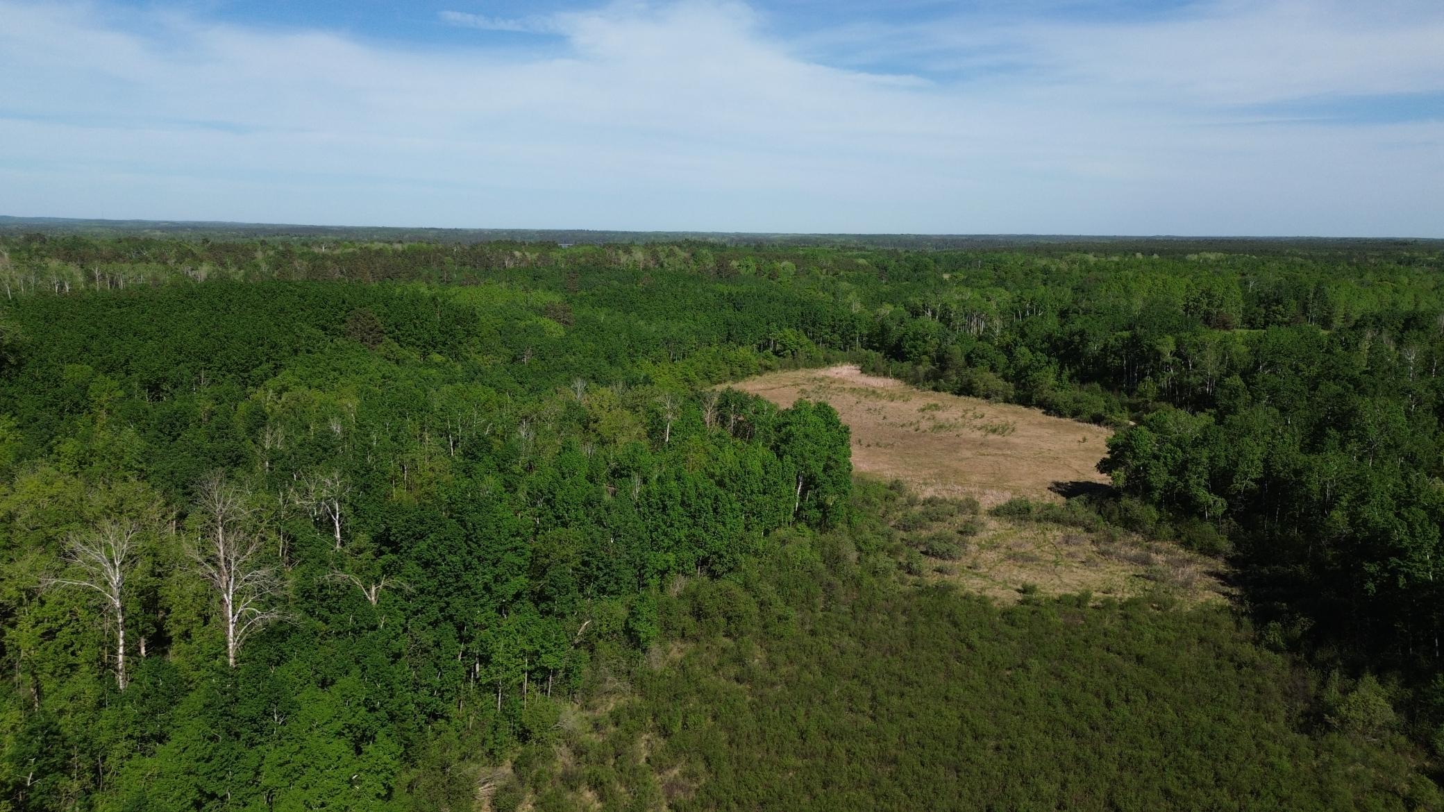 TBD CR-4, Park Rapids