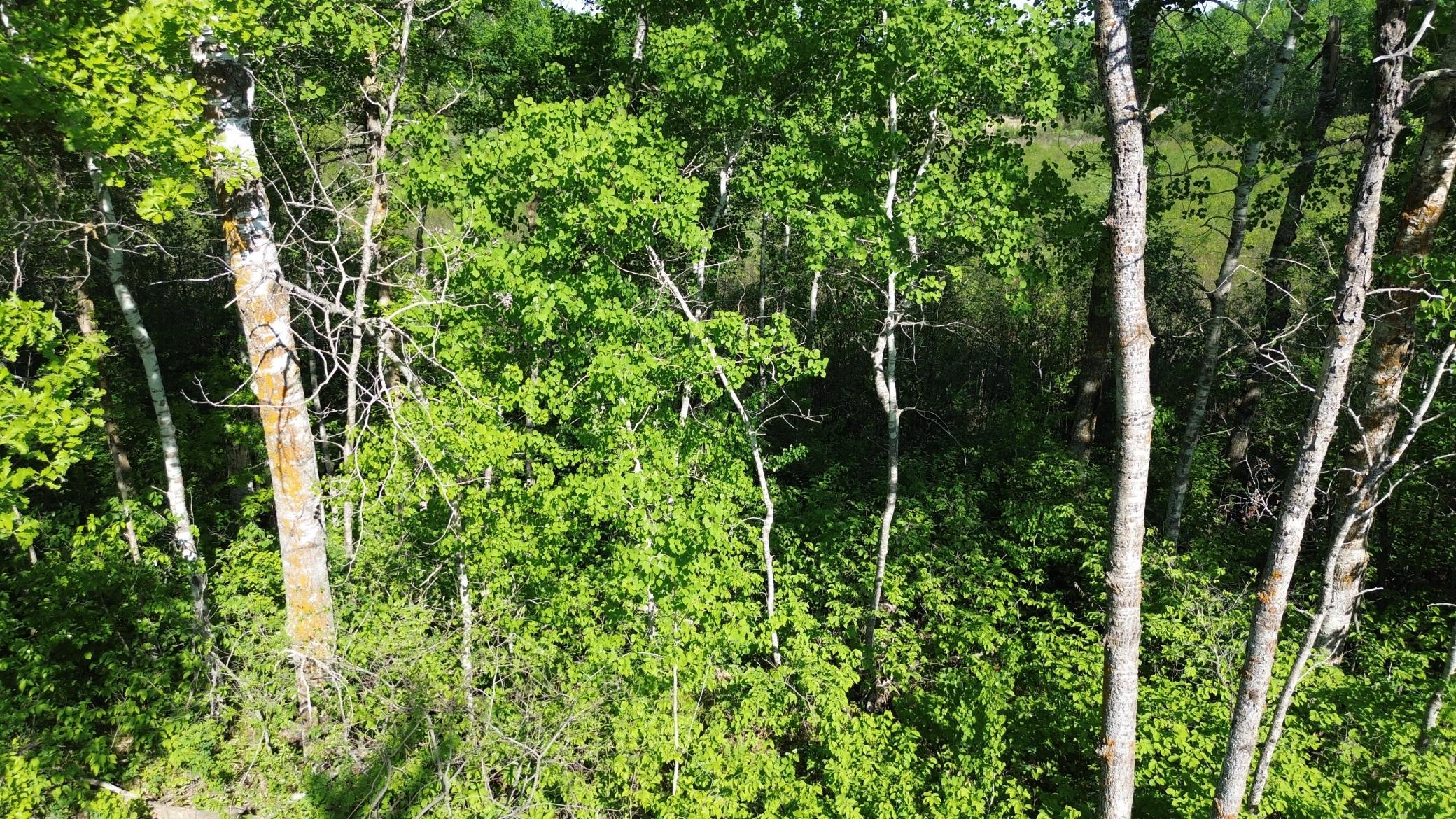 IMG_6970.JPG