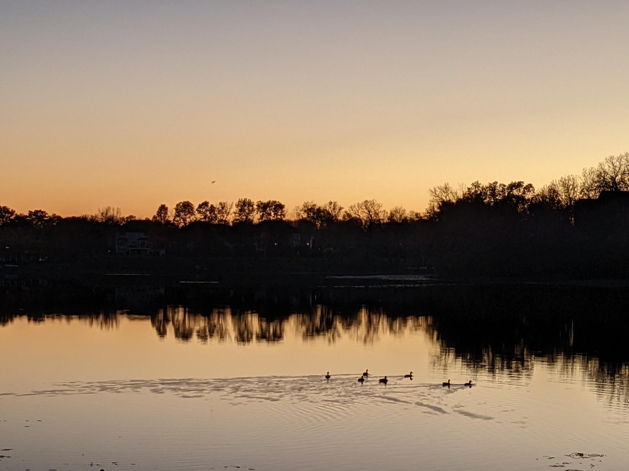 Sunset photo of the lake, superb bird watching.