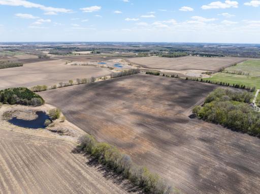 Forster Rd Forster Road NE, Carlos, MN 56319