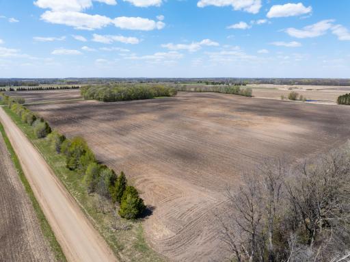 Forster Rd Forster Road NE, Carlos, MN 56319