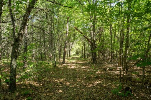 13884 Bloom Road, Grantsburg, WI 54840