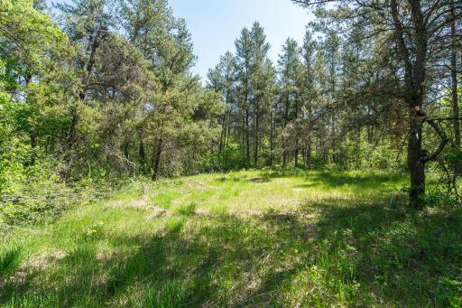13884 Bloom Road, Grantsburg, WI 54840
