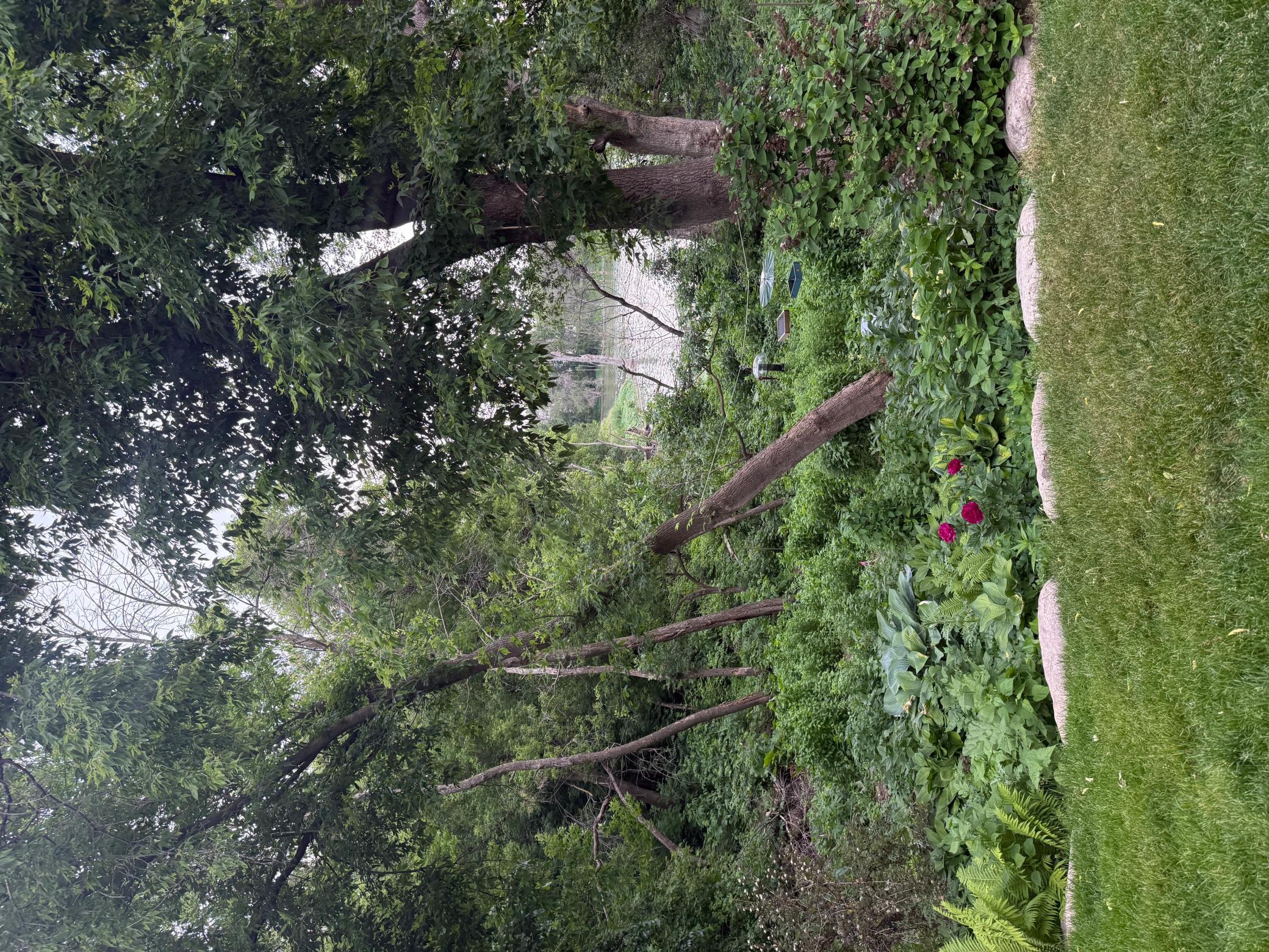 IMG_6793.jpeg