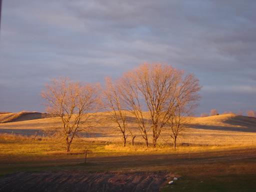 19800 Stephan Drive, Starbuck, MN 56381