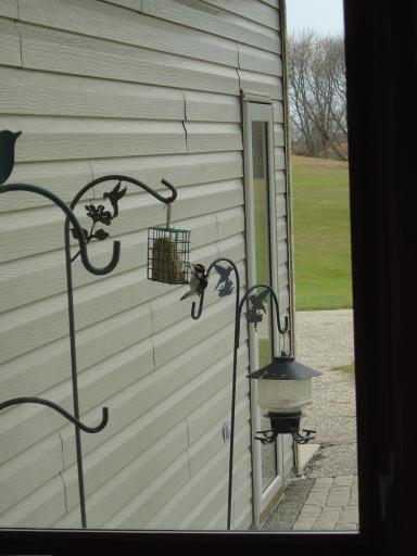 19800 Stephan Drive, Starbuck, MN 56381