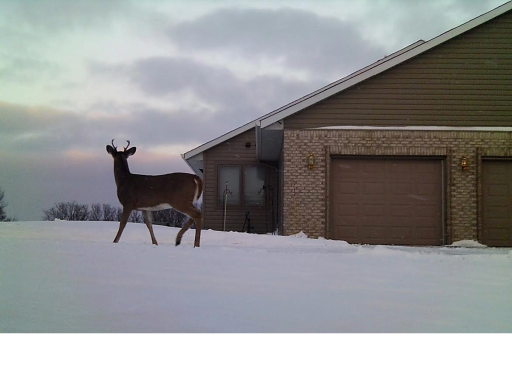 19800 Stephan Drive, Starbuck, MN 56381