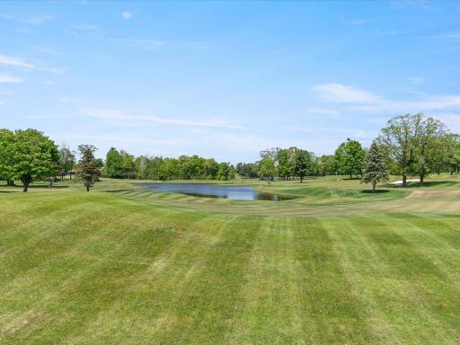 The golf course and pond views. Green grass as far as you can see.