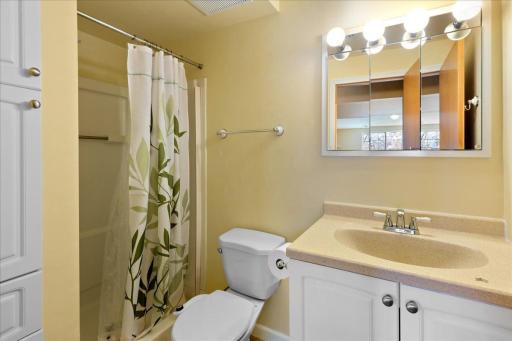 Third bathroom in the lower level