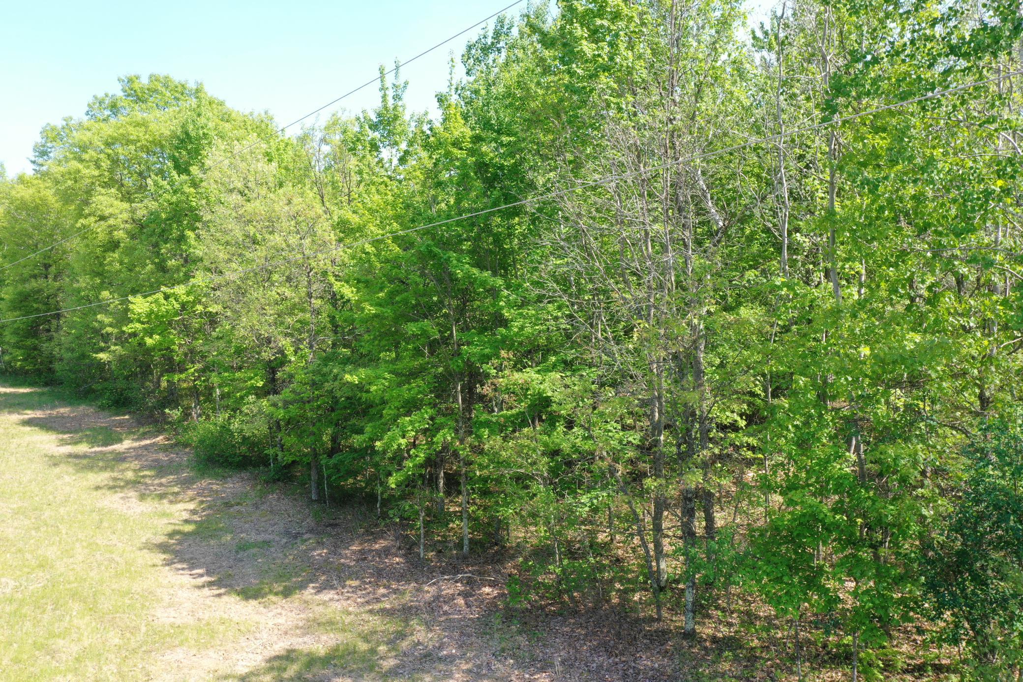 DJI_0947.JPG