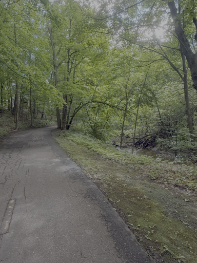 7320 Everest Lane N, Maple Grove, MN 55311