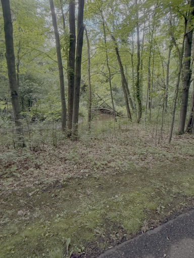 7320 Everest Lane N, Maple Grove, MN 55311