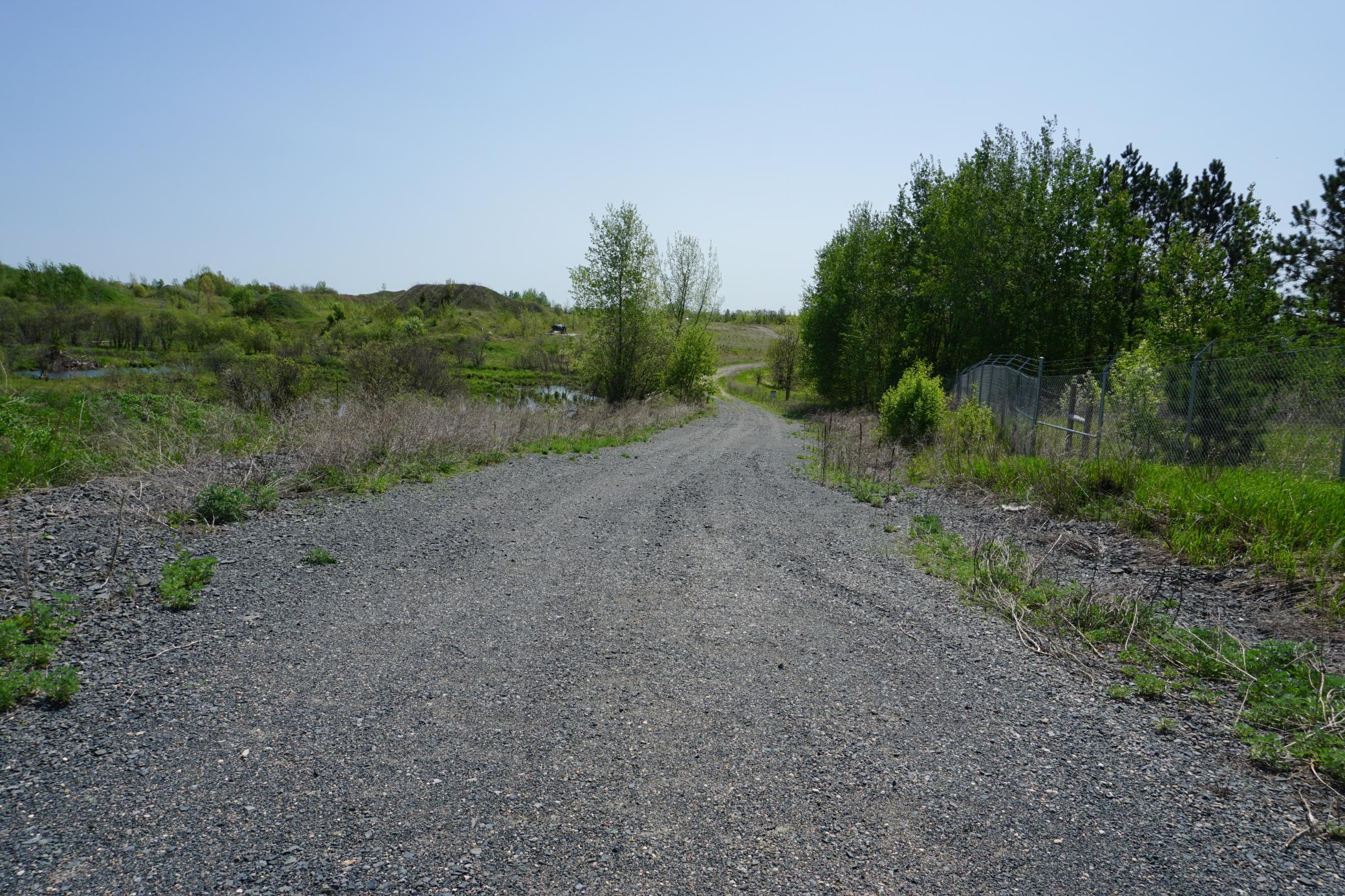 West Driveway.JPG
