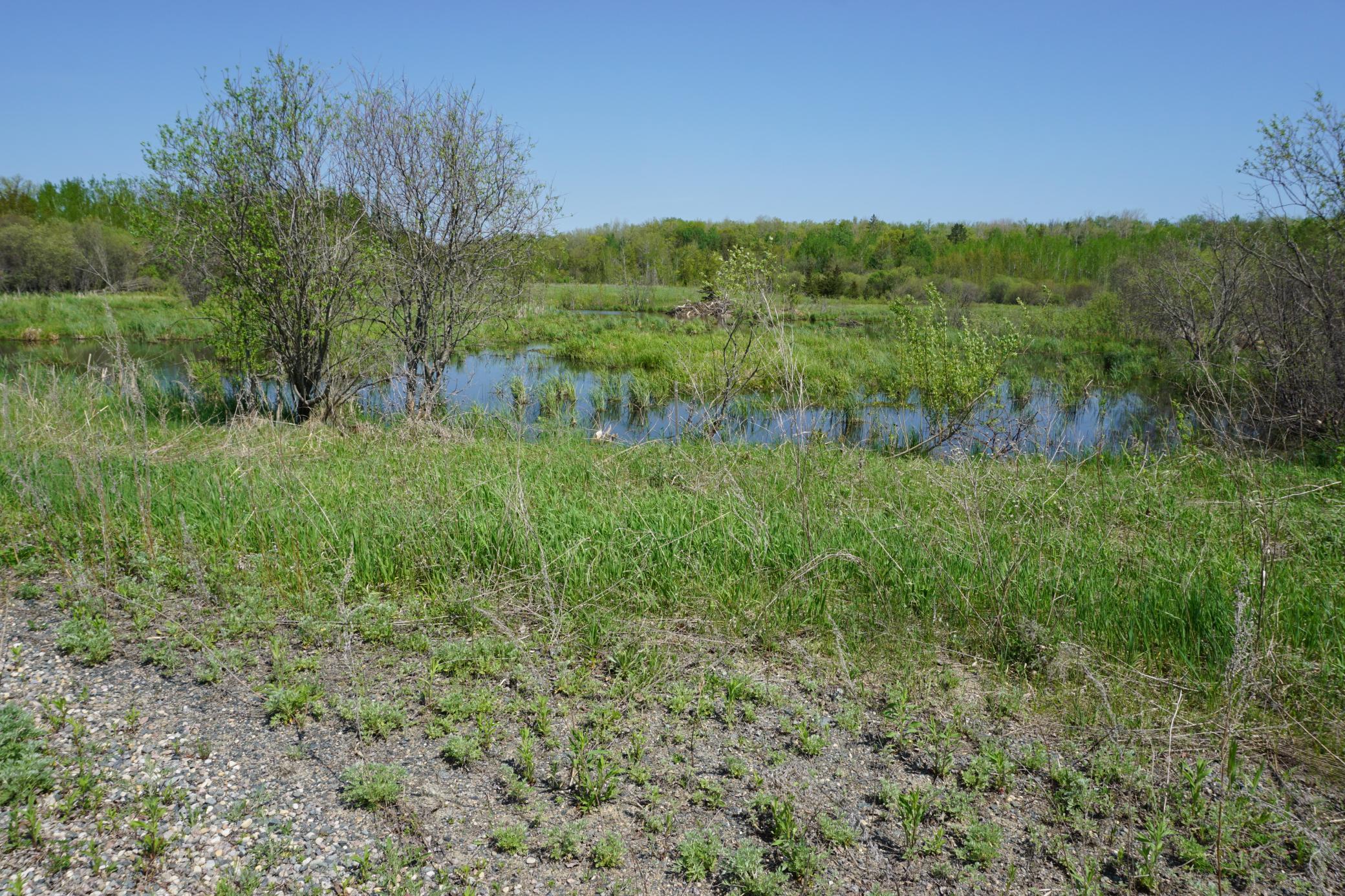 Pond in Gravel Pit.JPG