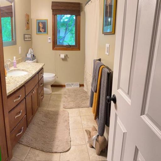725 S Gilman Avenue, Litchfield, MN 55355