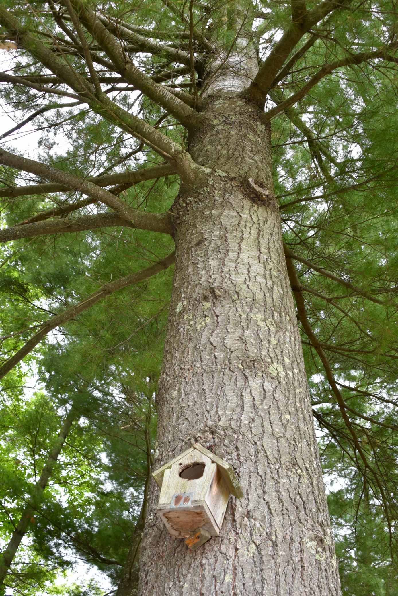 DSC_3517.JPG