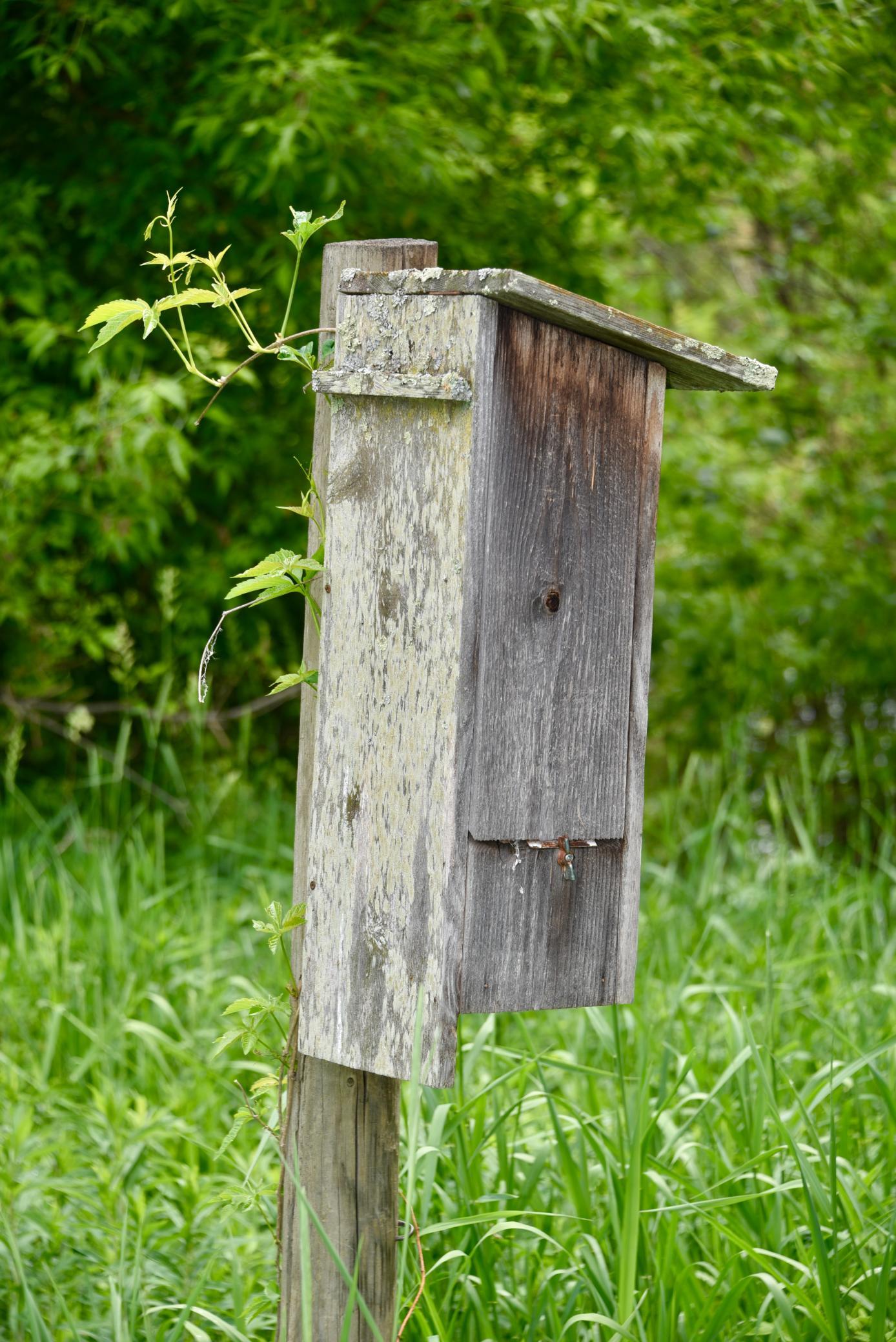 DSC_3551.JPG