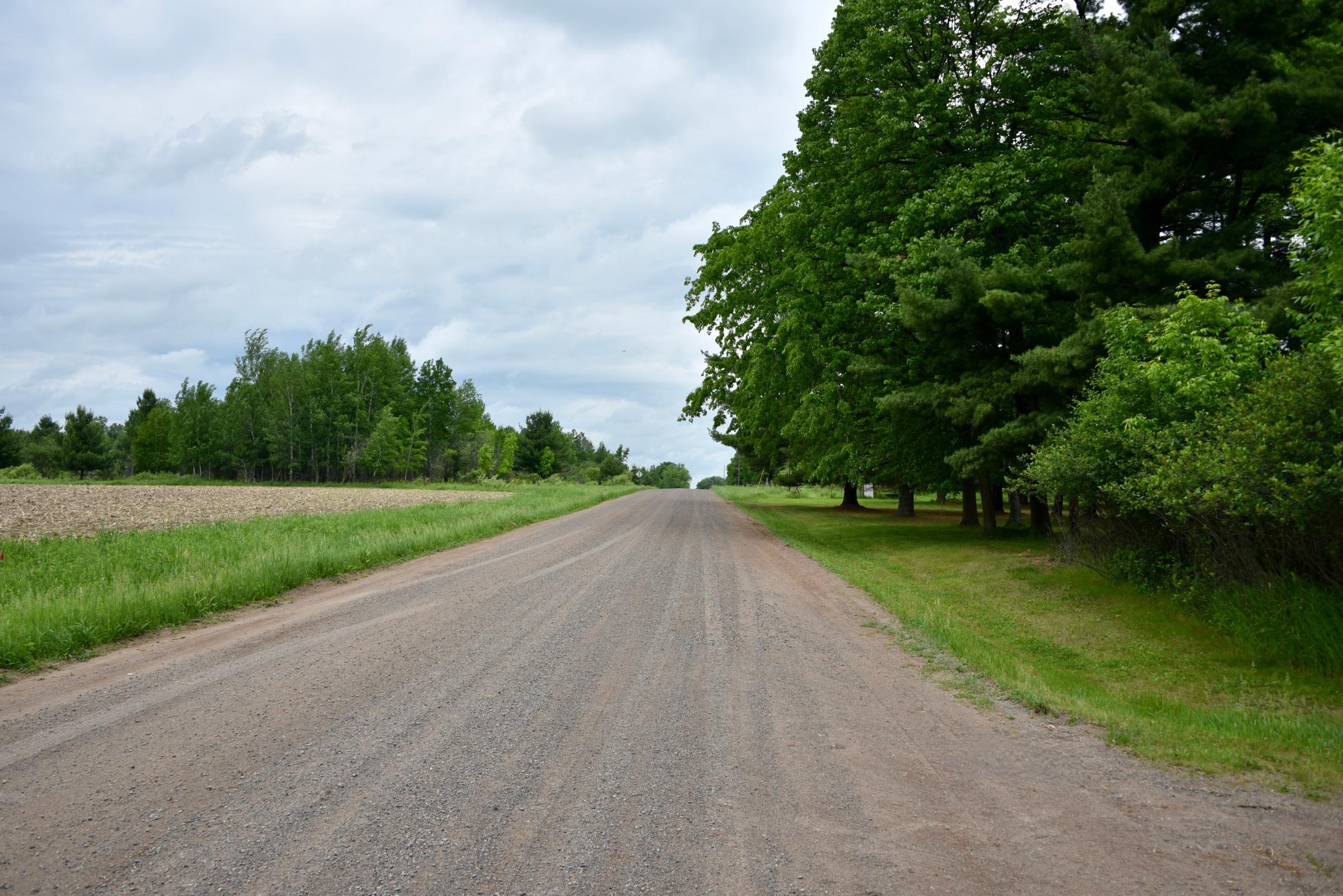 DSC_3561.JPG