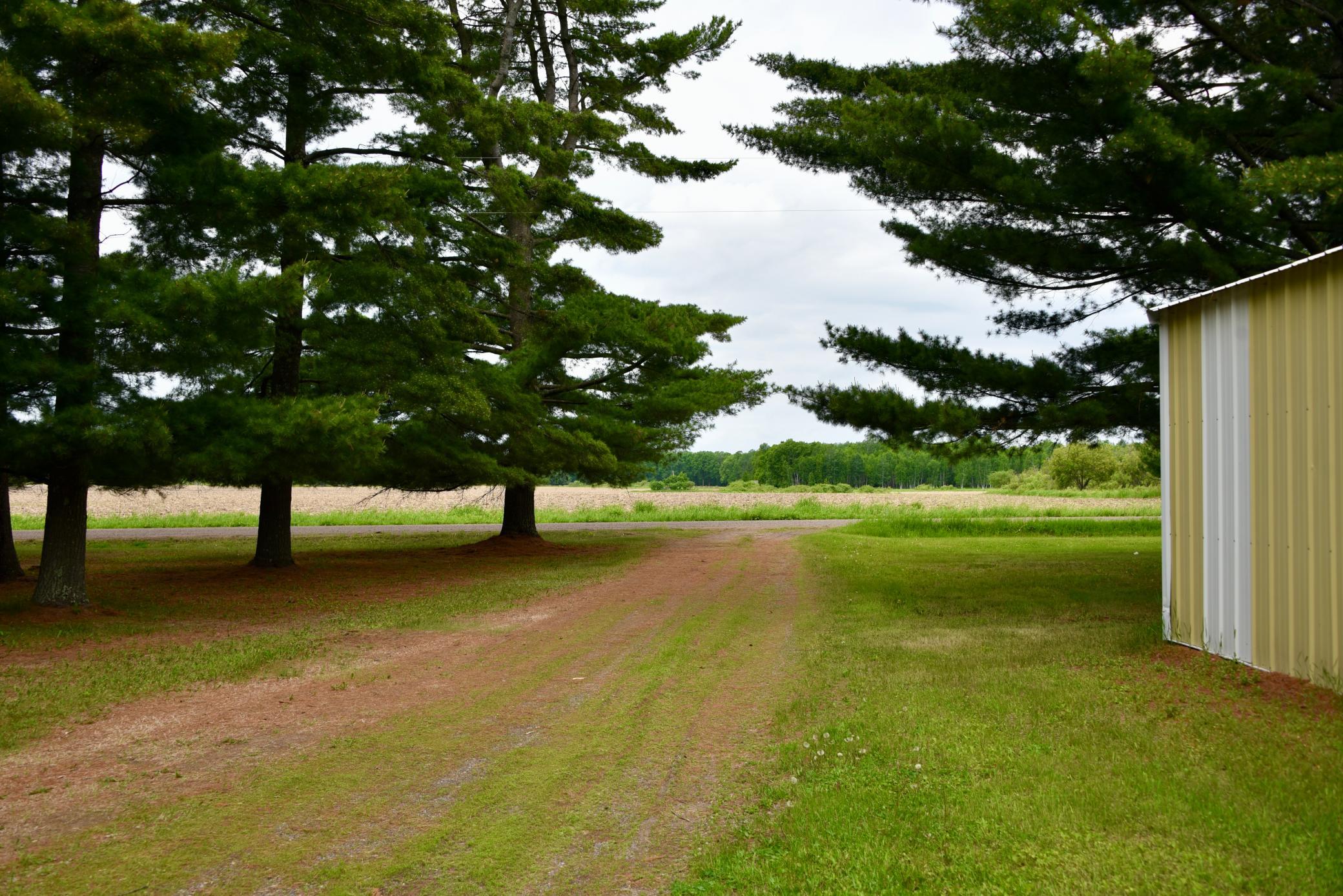 DSC_3516.JPG