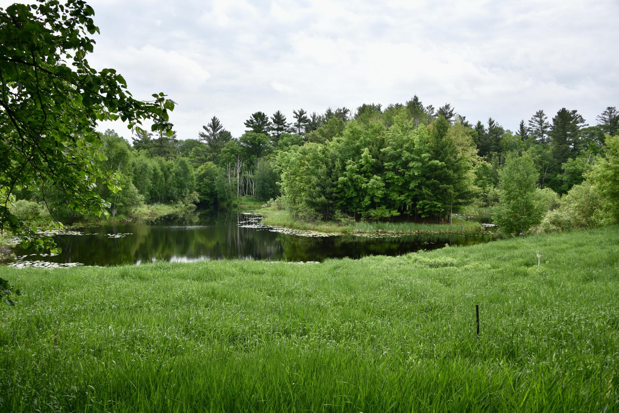 DSC_3531.JPG