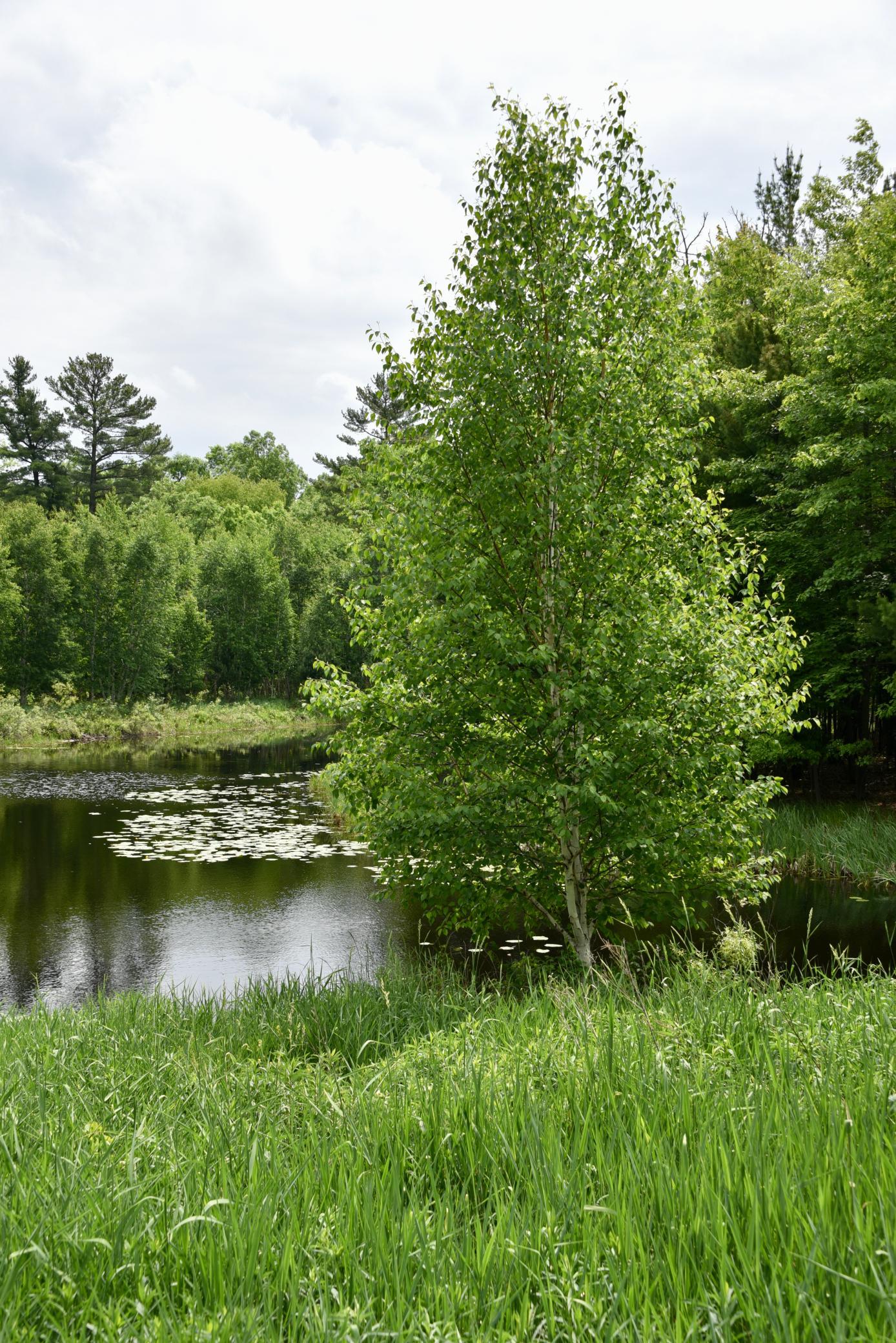 DSC_3546.JPG