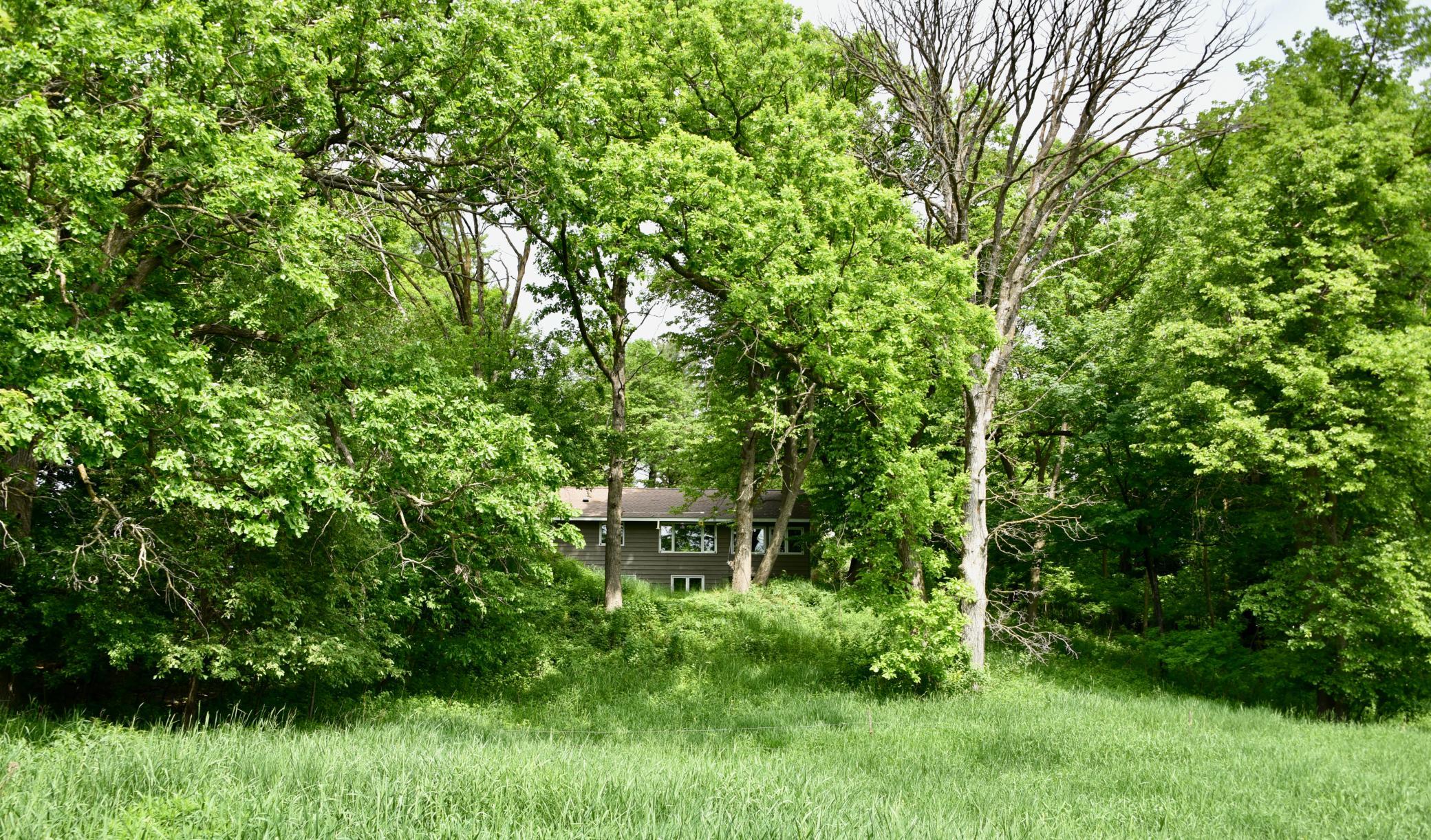 DSC_3547.JPG