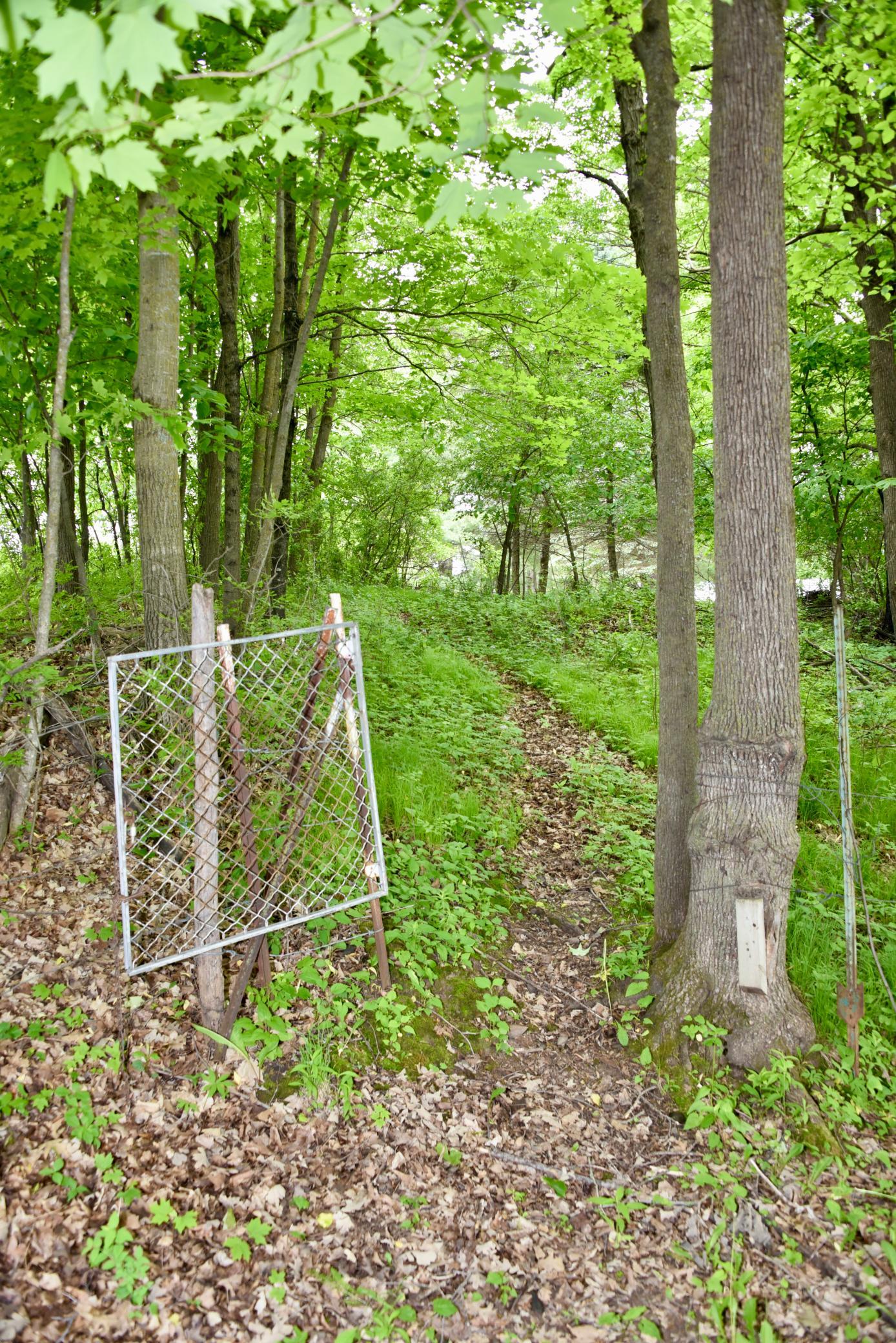 DSC_3557.JPG