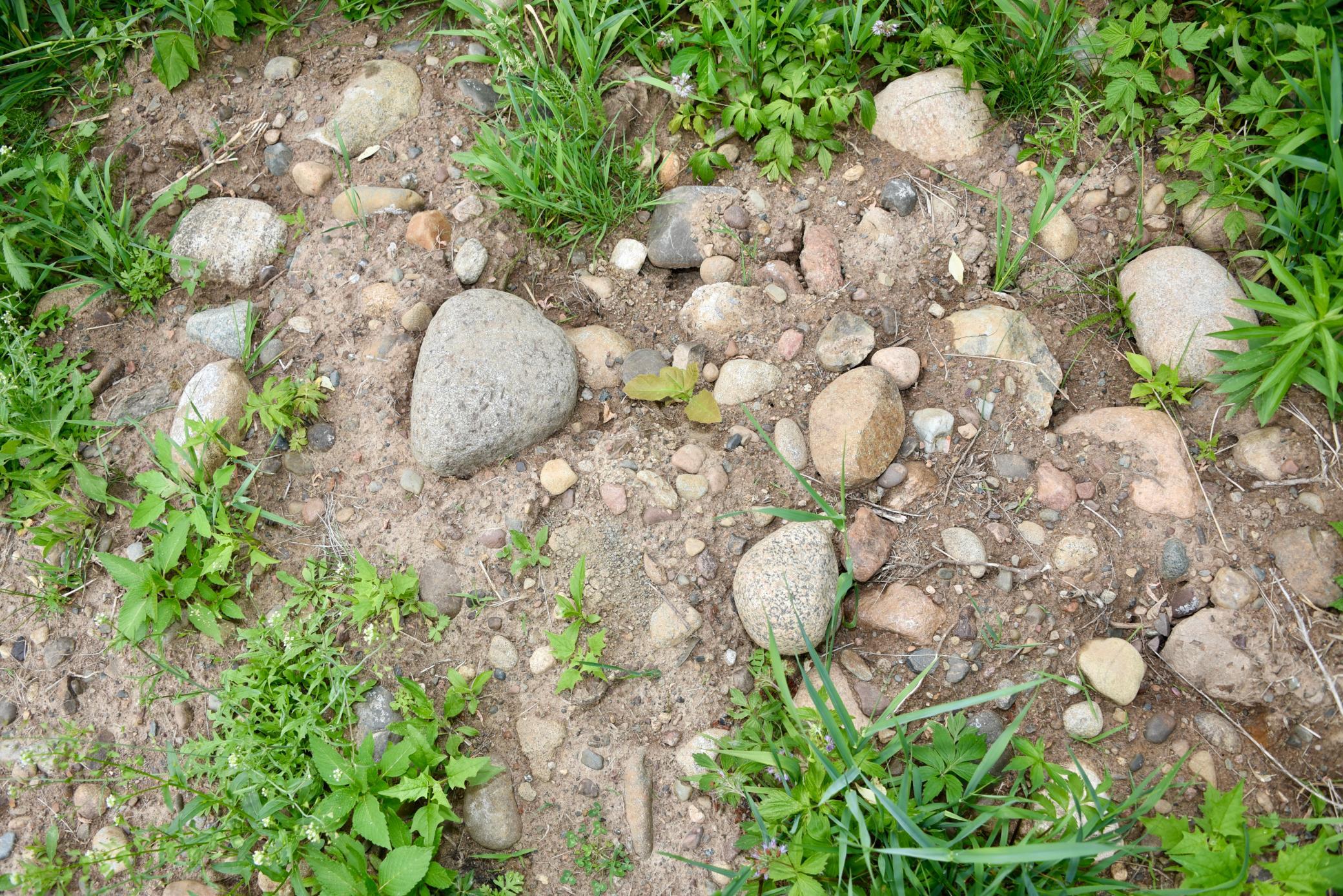 DSC_3553.JPG