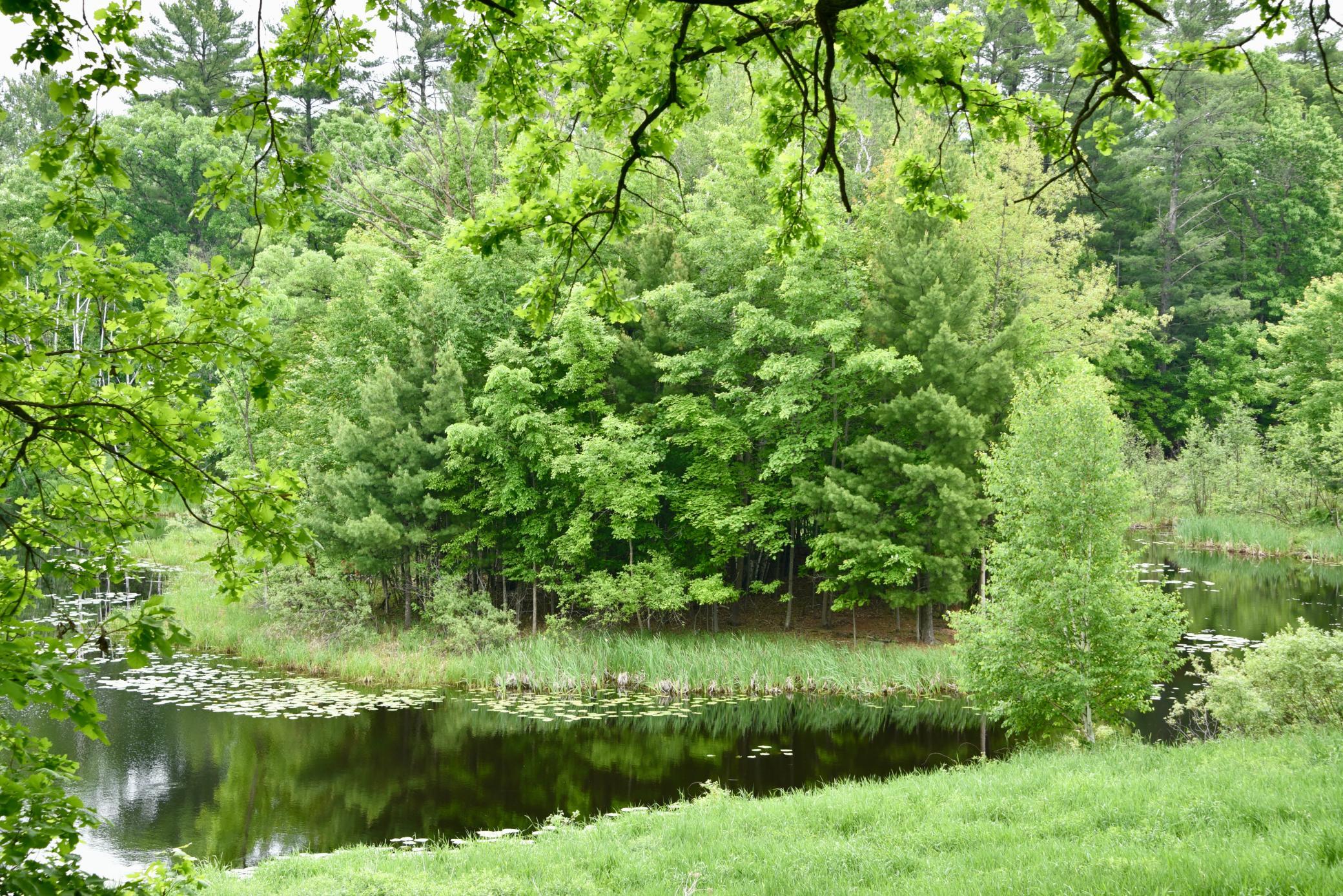 DSC_3529.JPG