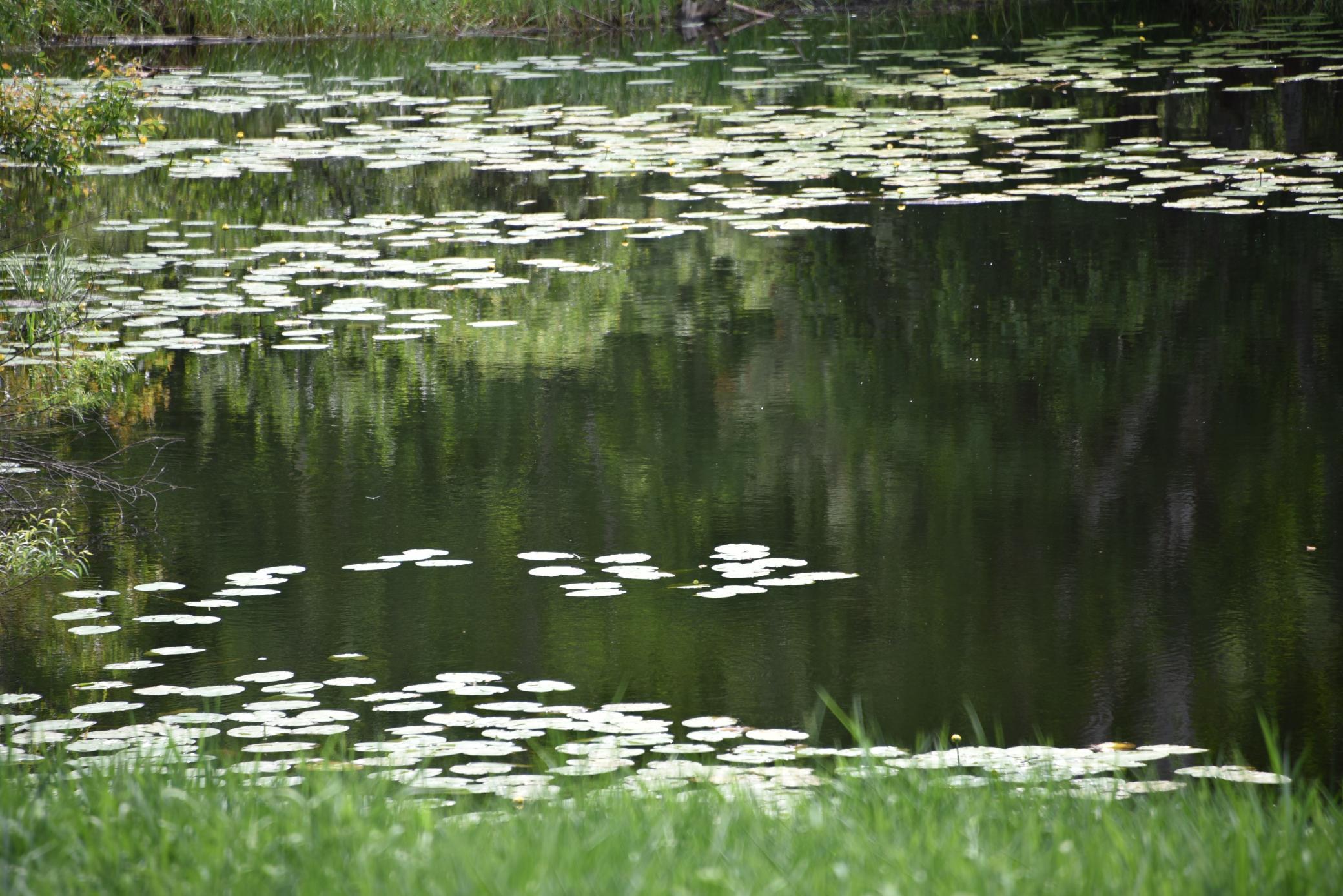 DSC_3538.JPG